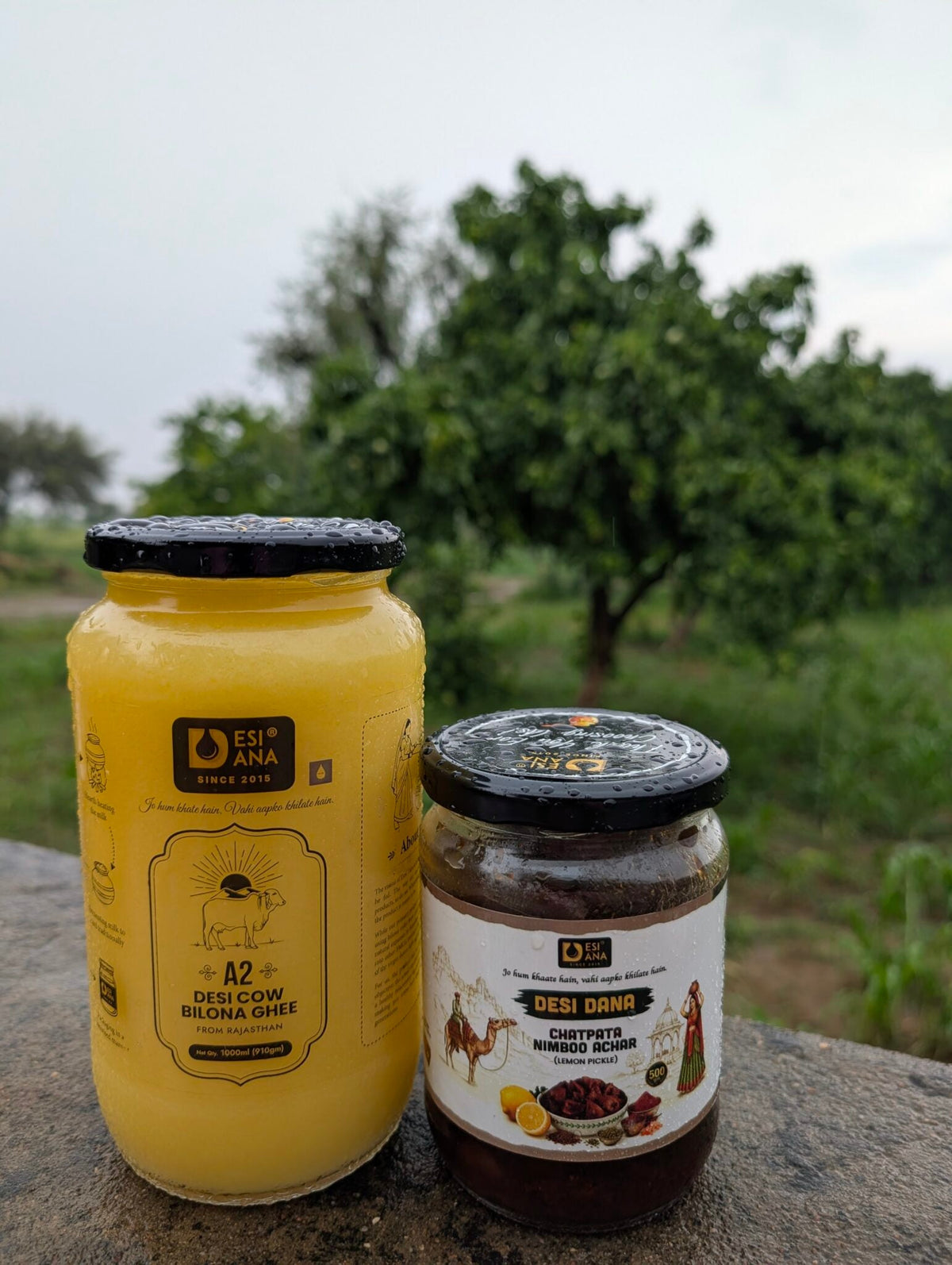 Freedom Begins With What We Eat: Reconnecting India With Its Farms